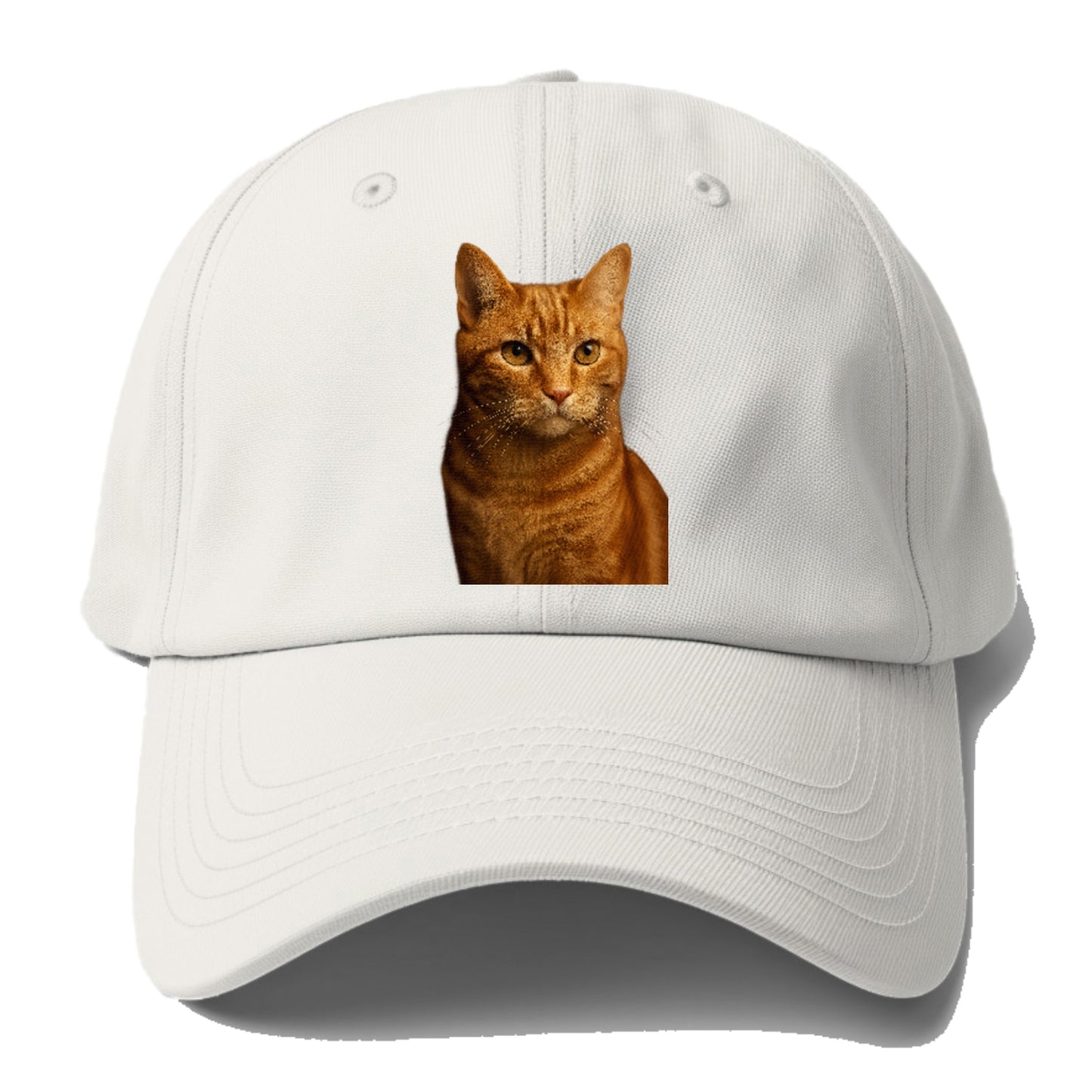 orange-tabby-playful-purr Hat