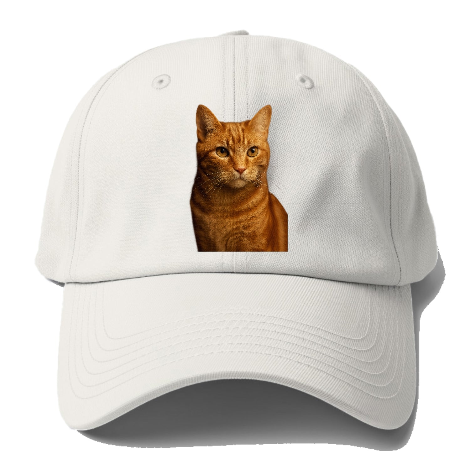 orange-tabby-playful-purr Hat