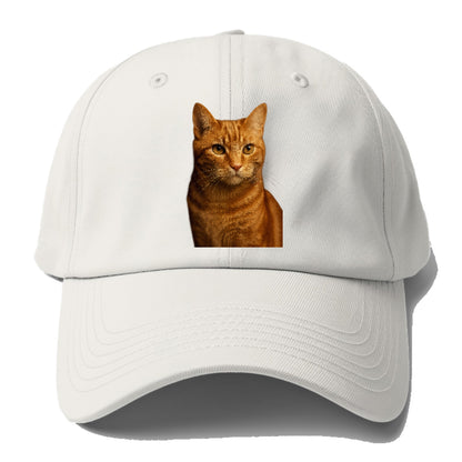 orange-tabby-playful-purr Hat