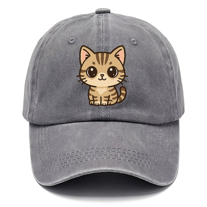 american-shorthair-calm-demeanor Hat