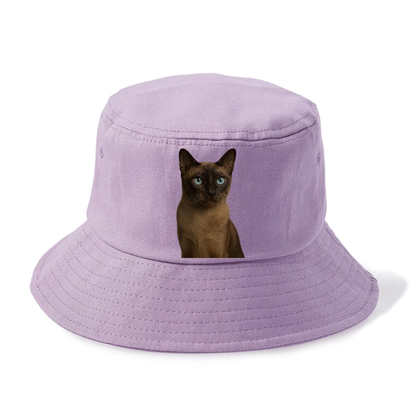 tonkinese-playful-spirit Hat