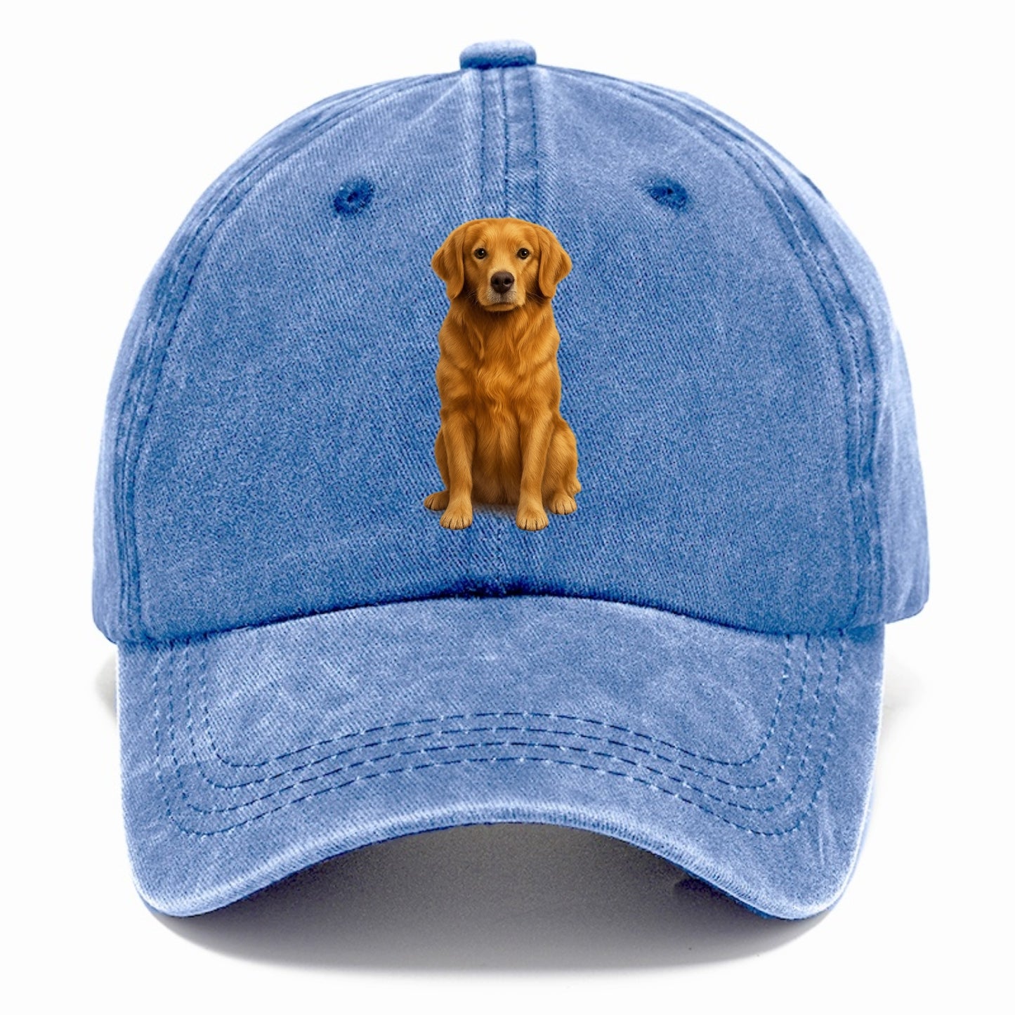 golden retriever portrait on brown background Hat