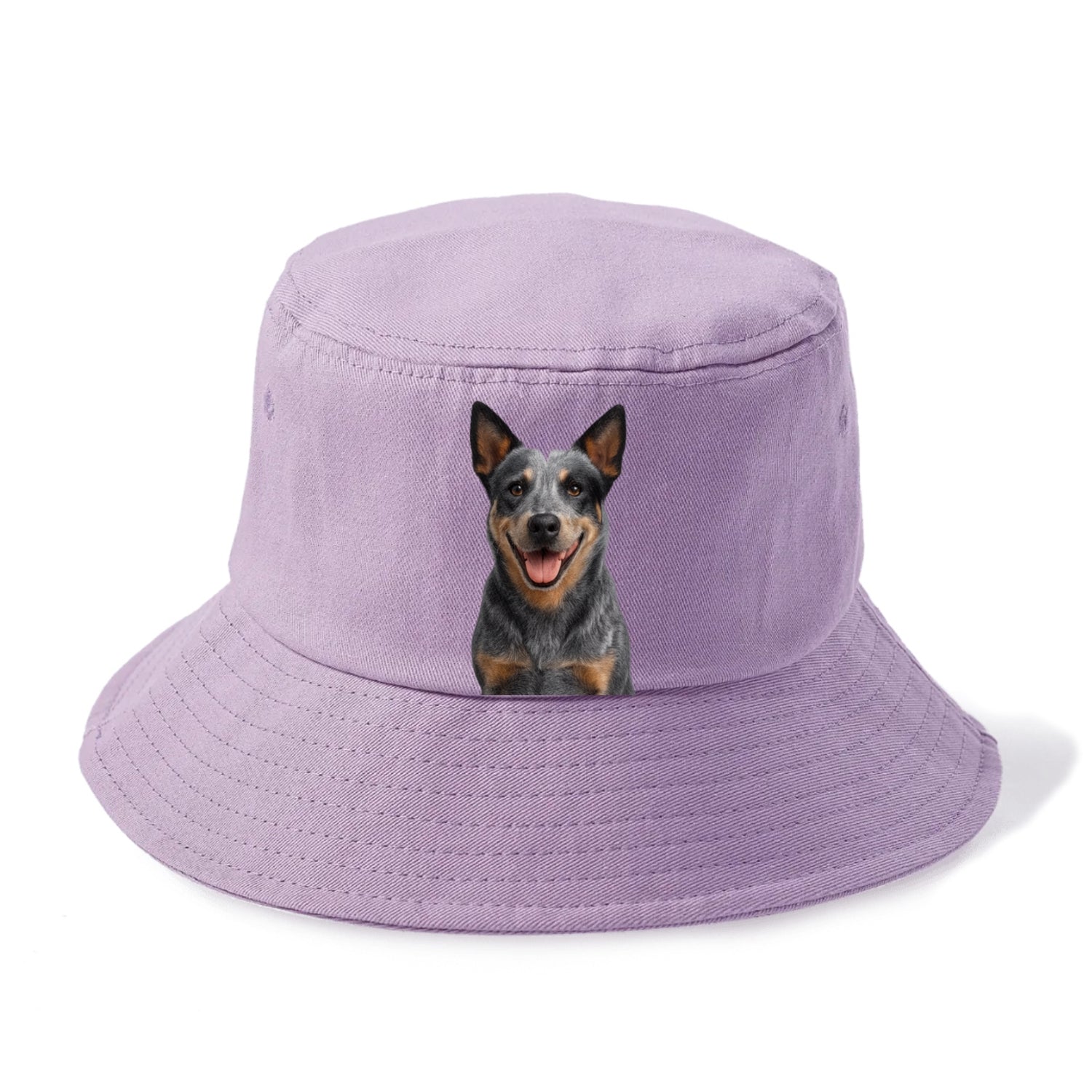 blue heeler agile herder Hat