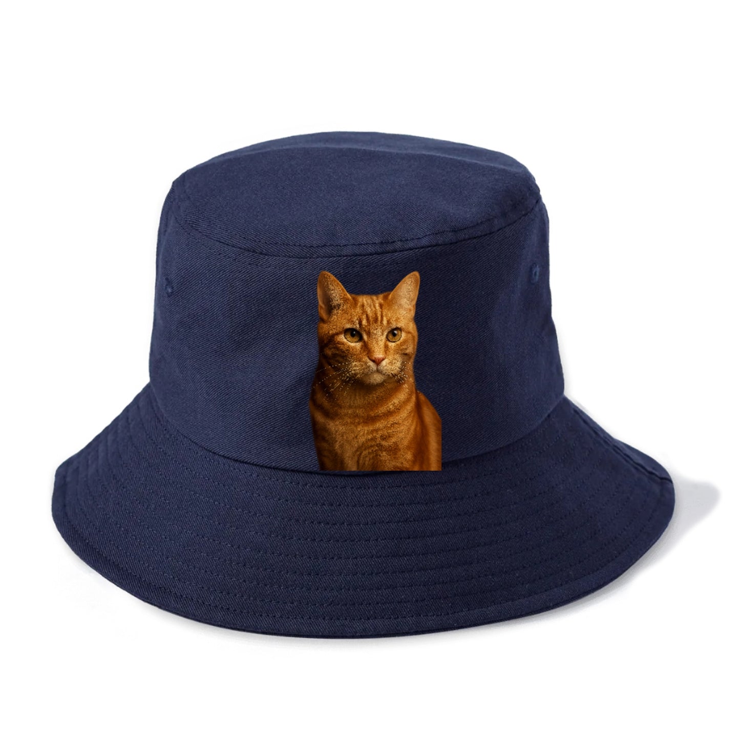 orange-tabby-playful-purr Hat