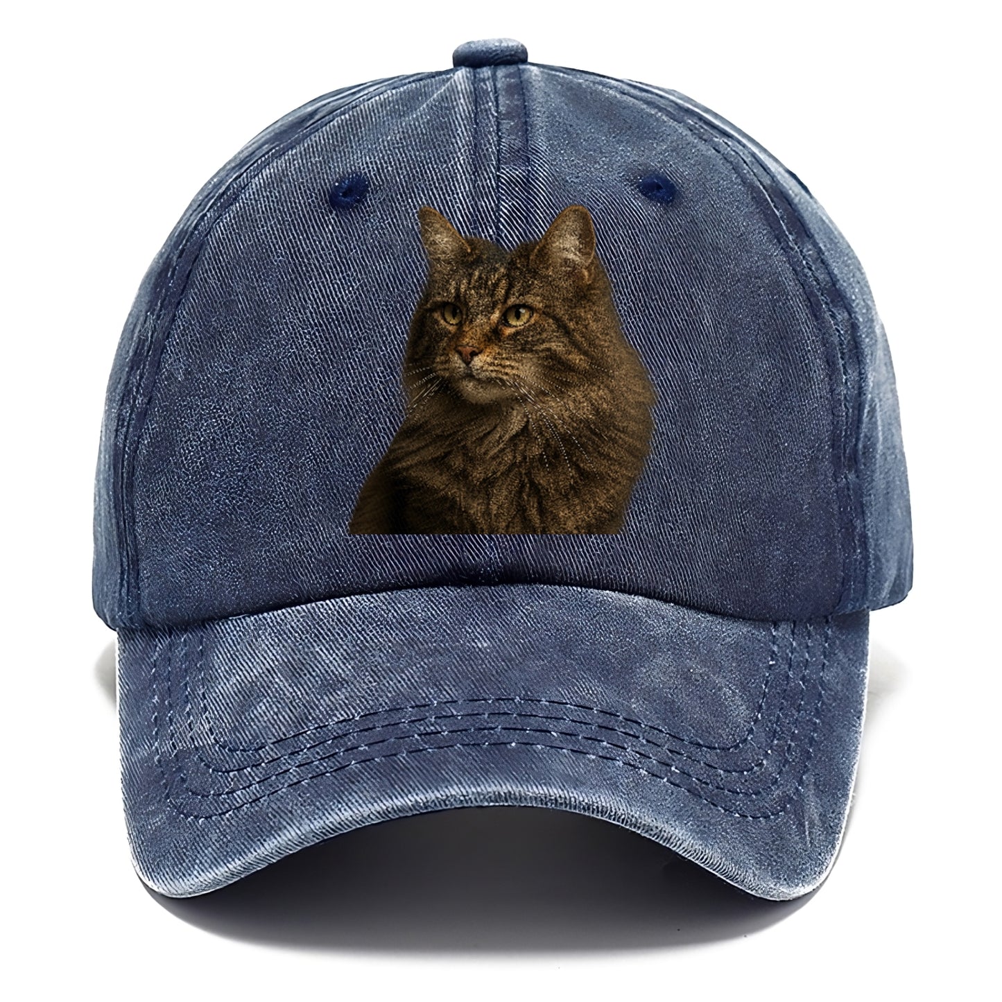 norwegian-forest-cat-wild-majesty Hat