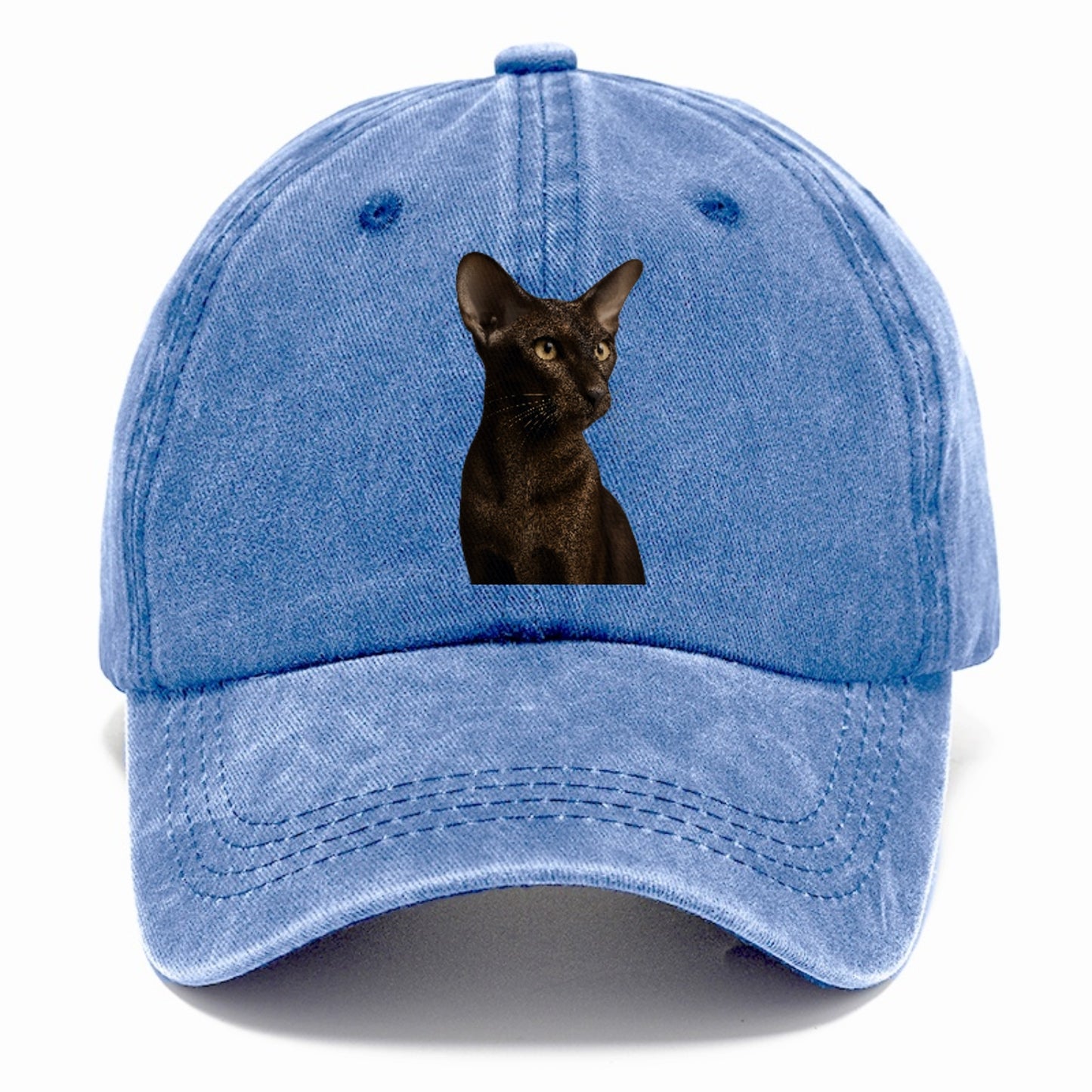 oriental-shorthair-sleek-chic Hat