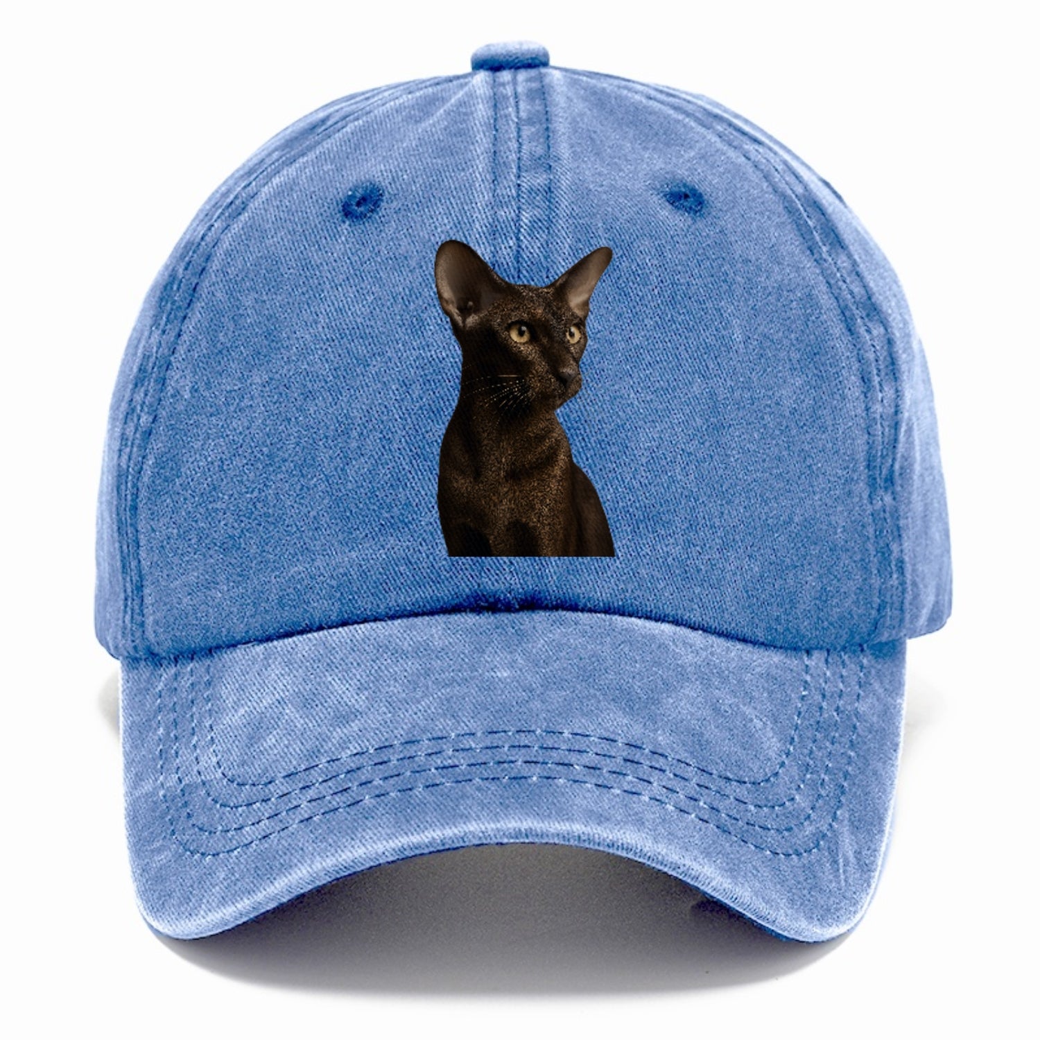 oriental-shorthair-sleek-chic Hat