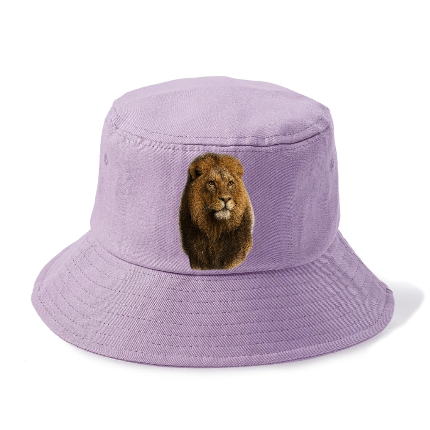 lion-regal-power Hat