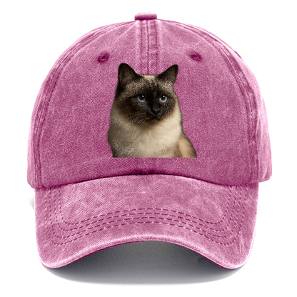 birman-cat-serene-elegance Hat