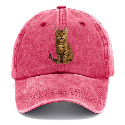 whiskered wonders Hat