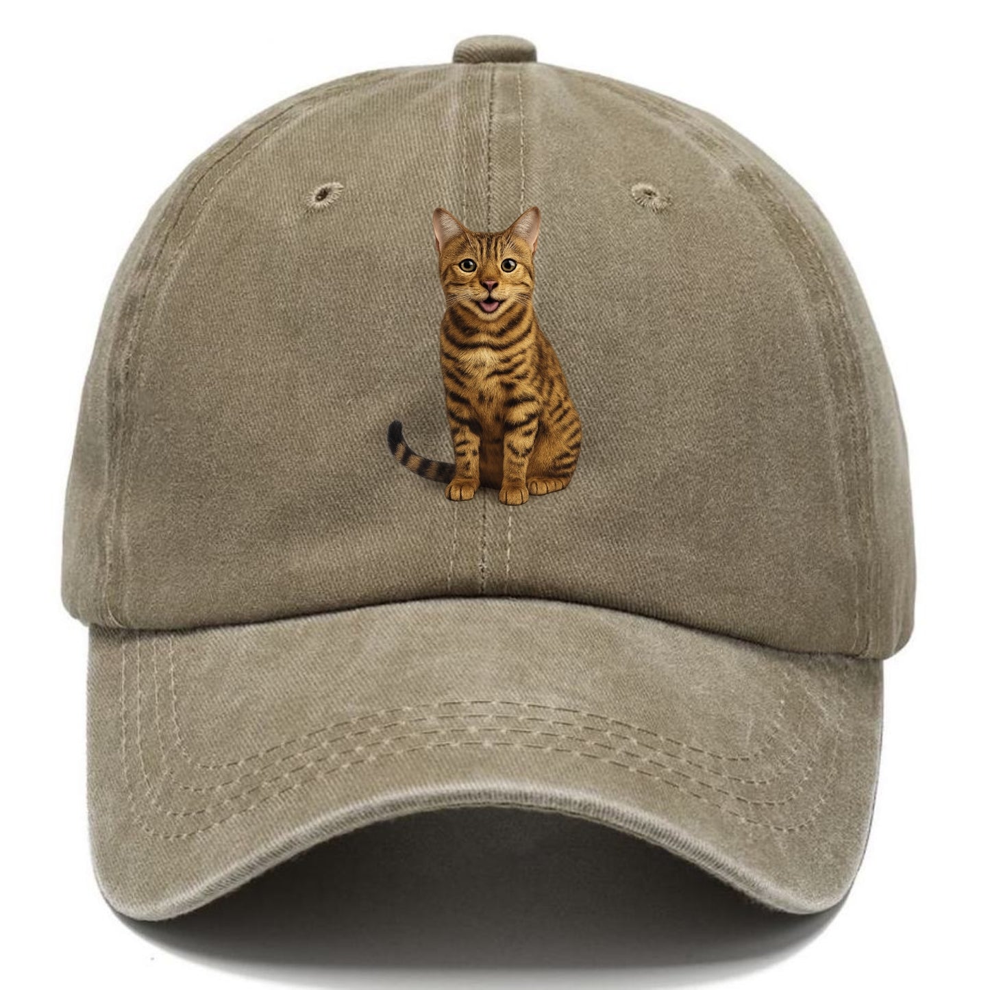 whiskered wonders Hat