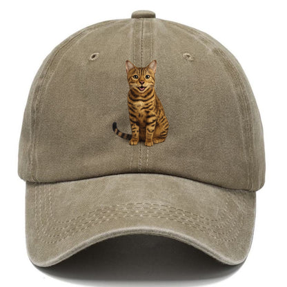 whiskered wonders Hat