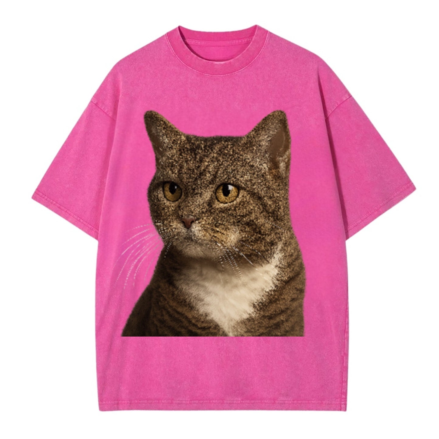 american-wirehair-unique-charm Hat