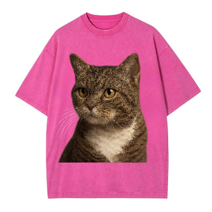 american-wirehair-unique-charm Hat