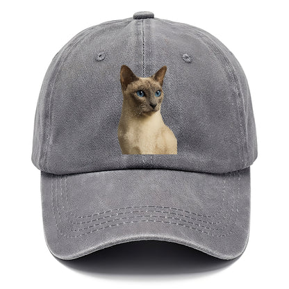lilac-point-siamese-elegant-mystique Hat