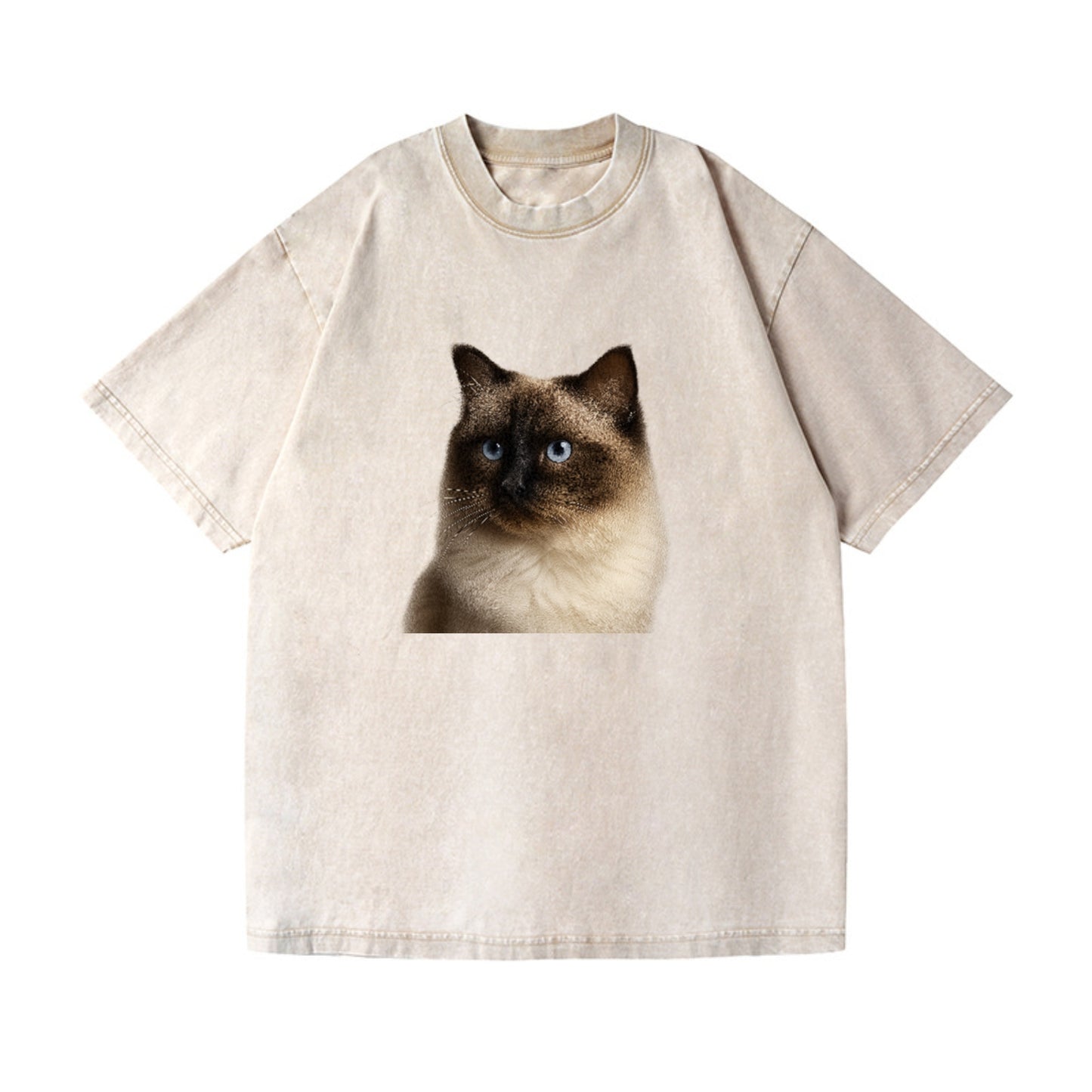 ragdoll-gentle-demeanor Hat