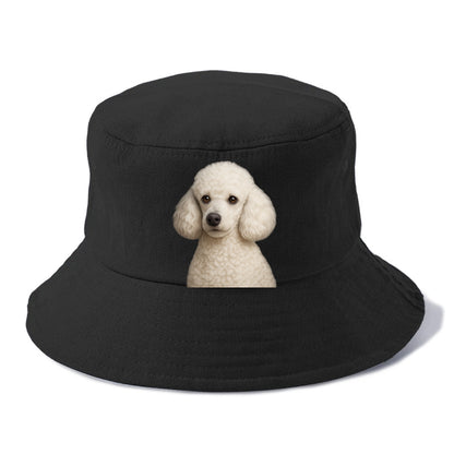 poodle elegant companion Hat