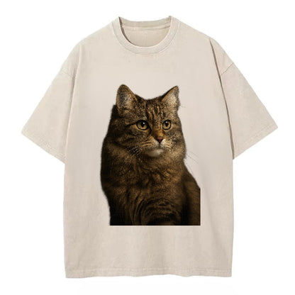 domestic-longhair-graceful-flow Hat