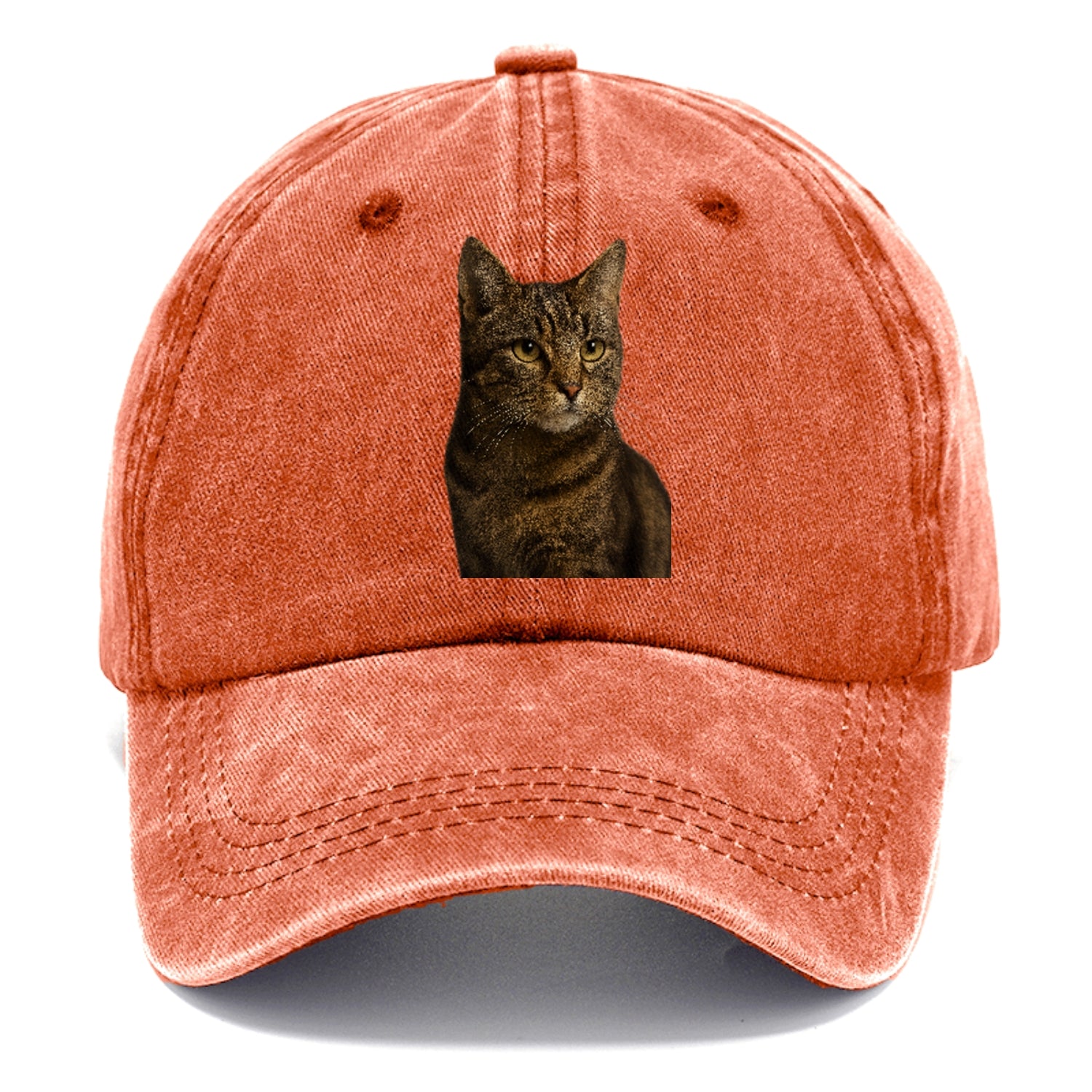 barn-cat-rustic-charm Hat