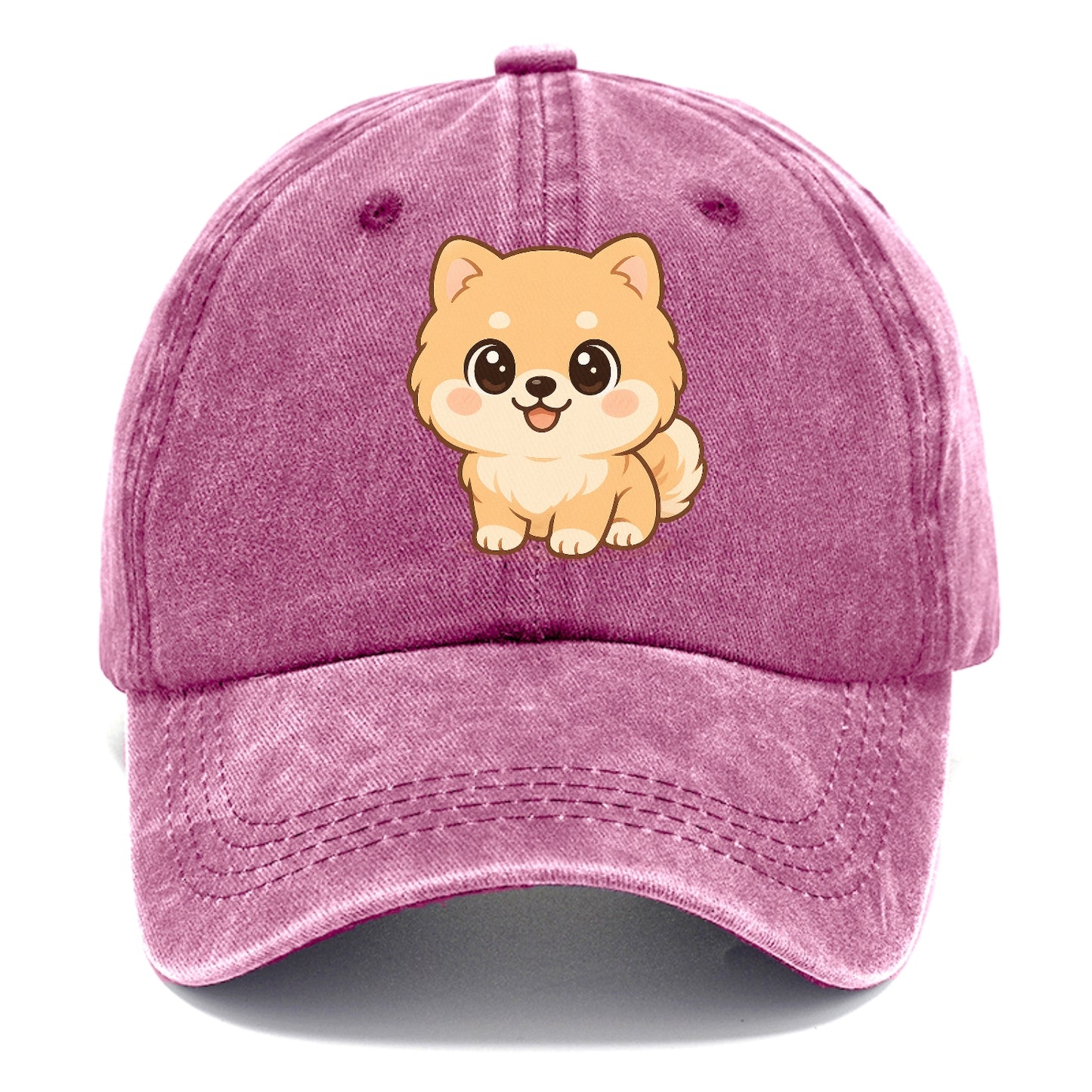 pomeranian fluff & spirit Hat