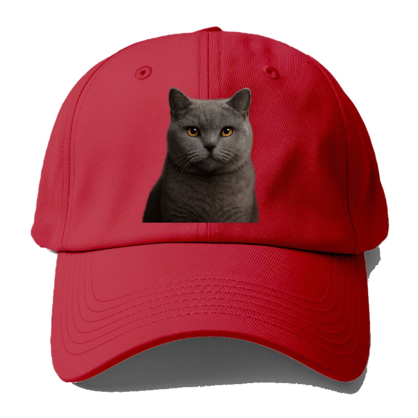 british shorthair dignified charm Hat