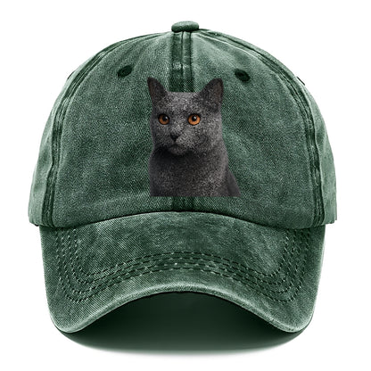chartreux-regal-charm Hat