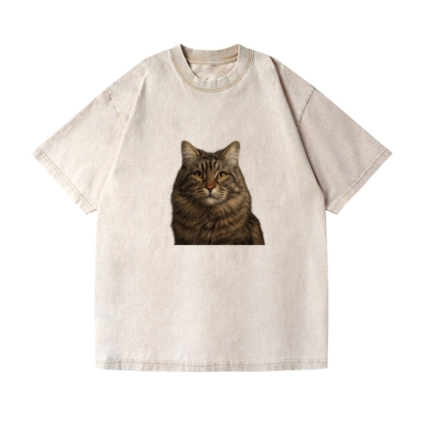 maine coon majestic feline Hat