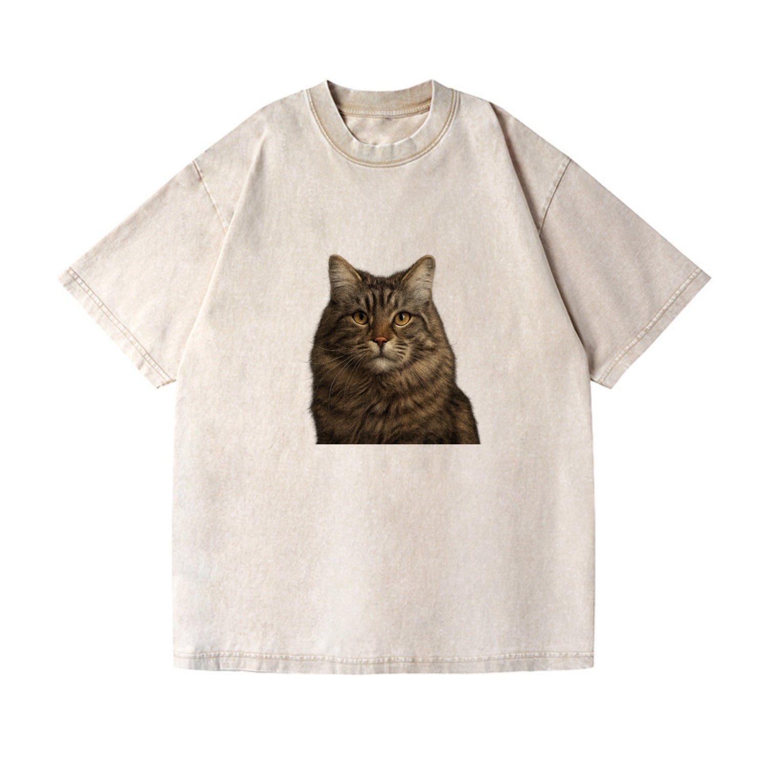 maine coon majestic feline Hat