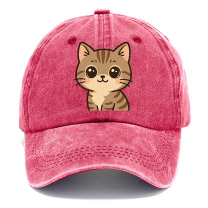 domestic-shorthair-playful-spirit Hat