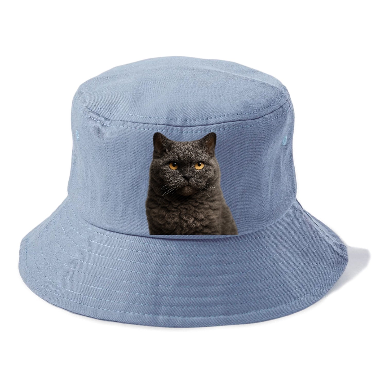 selkirk-rex-curly-charm Hat