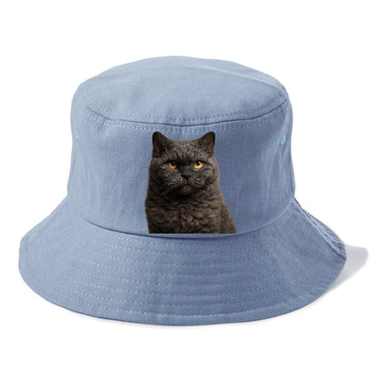 selkirk-rex-curly-charm Hat