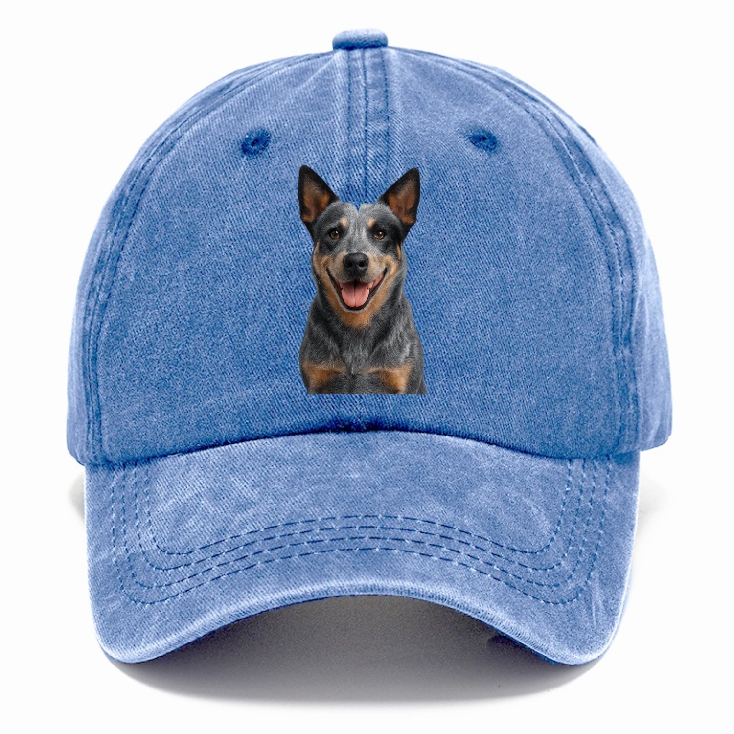 blue heeler agile herder Hat