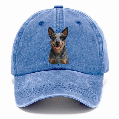 blue heeler agile herder Hat