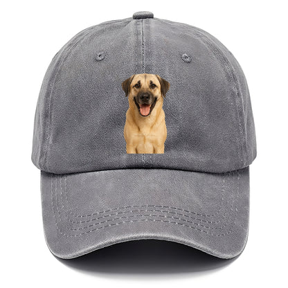 anatolian shepherd portrait design Hat