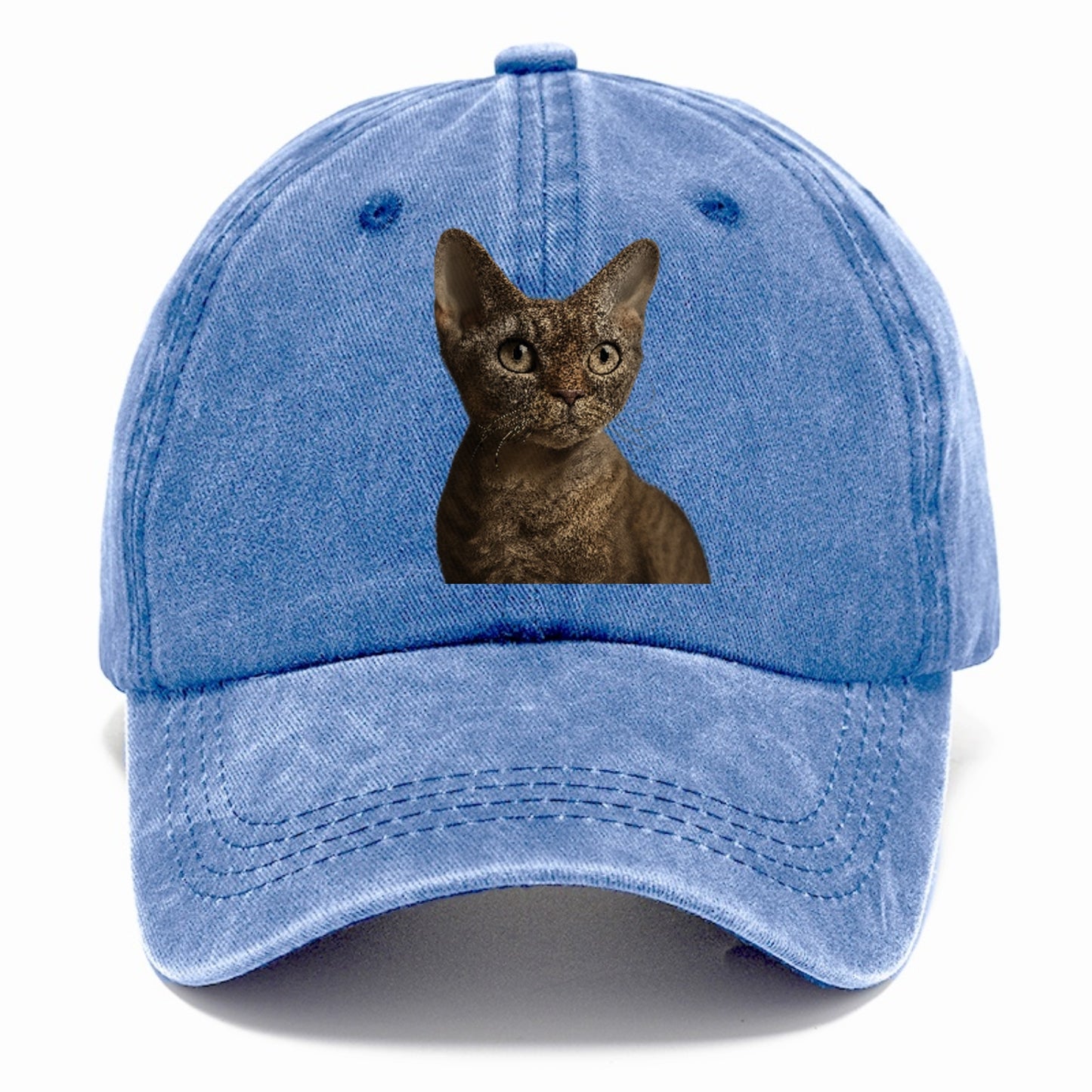 devon-rex-playful-spirit Hat