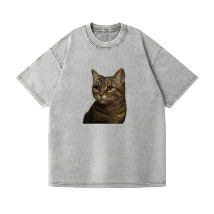 munchkin-cat-charming-spirit Hat