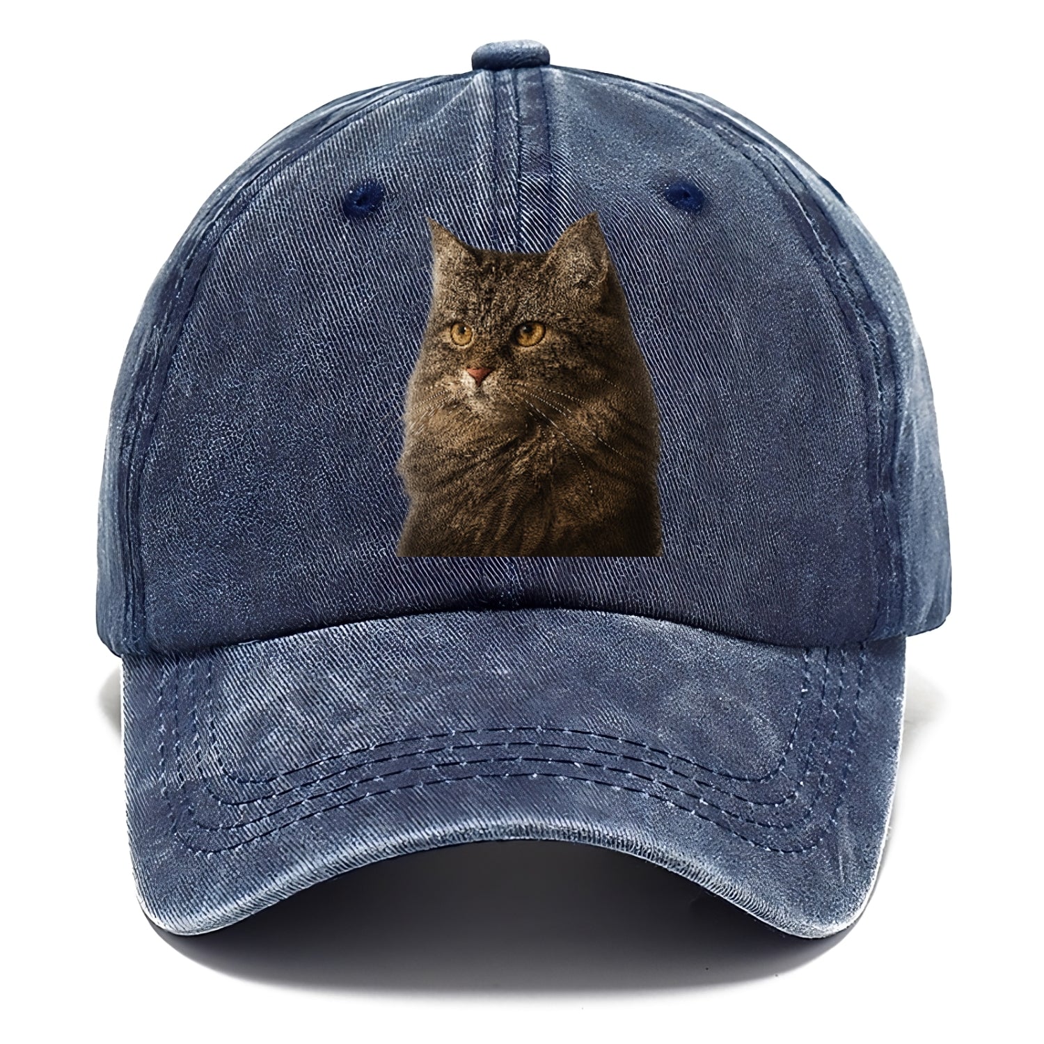 domestic-longhair-graceful-charm Hat