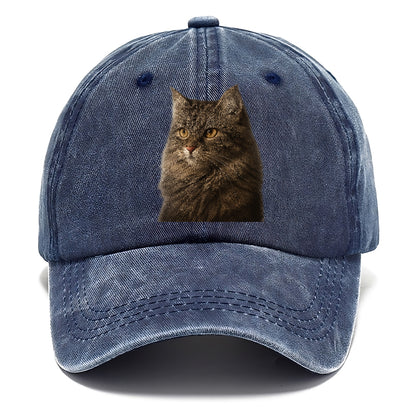 domestic-longhair-graceful-charm Hat