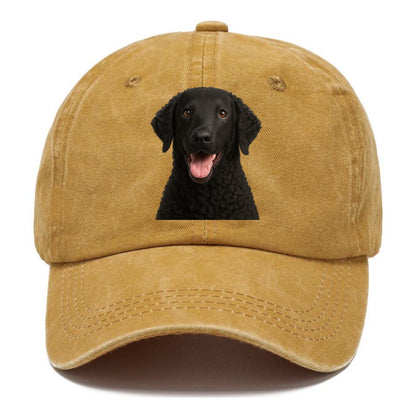 coated retriever: spirited & iconic Hat