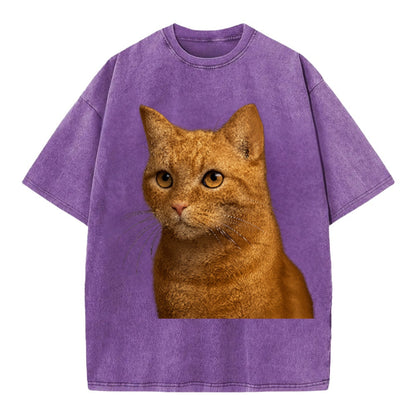 ginger-cat-playful-spirit Hat