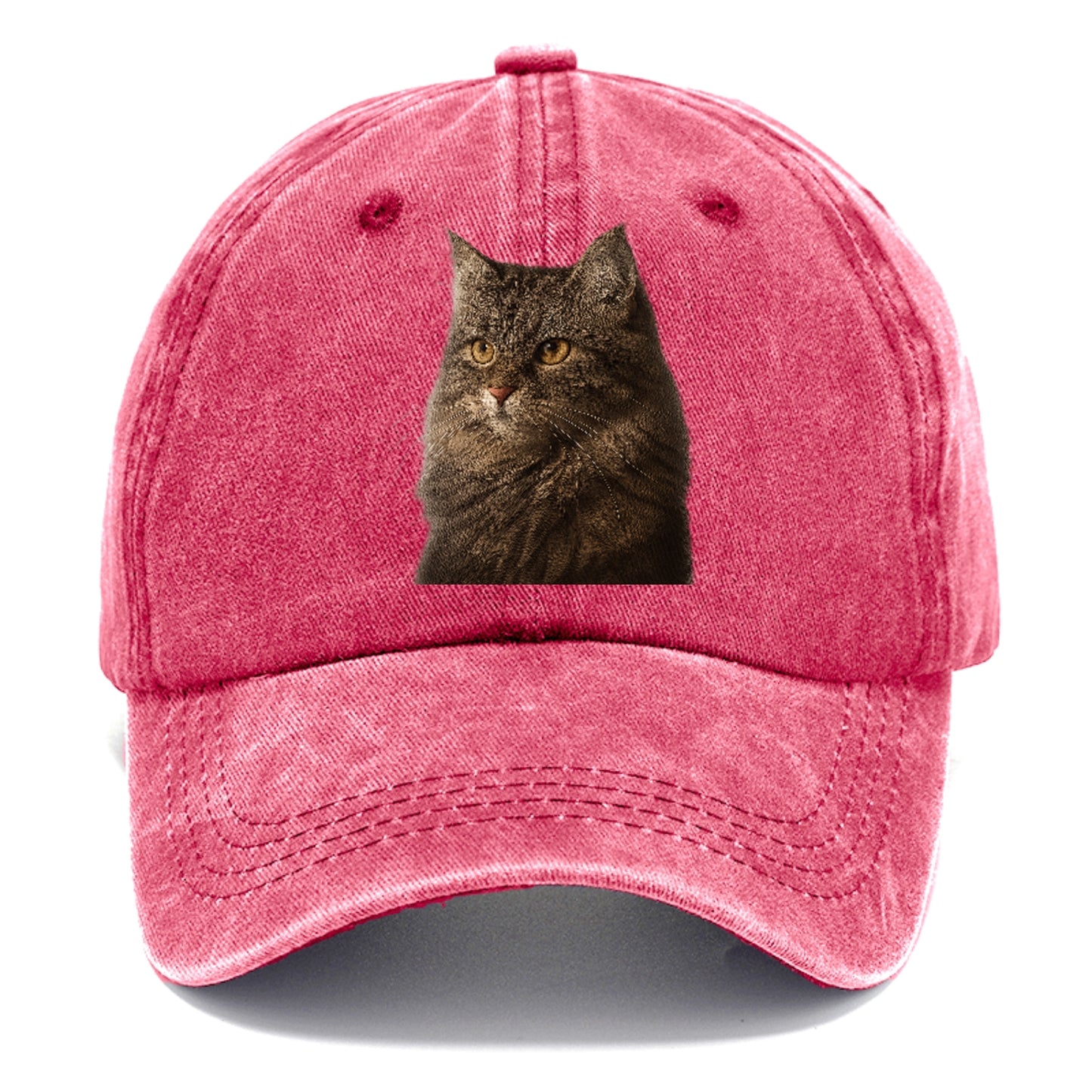 domestic-longhair-graceful-charm Hat