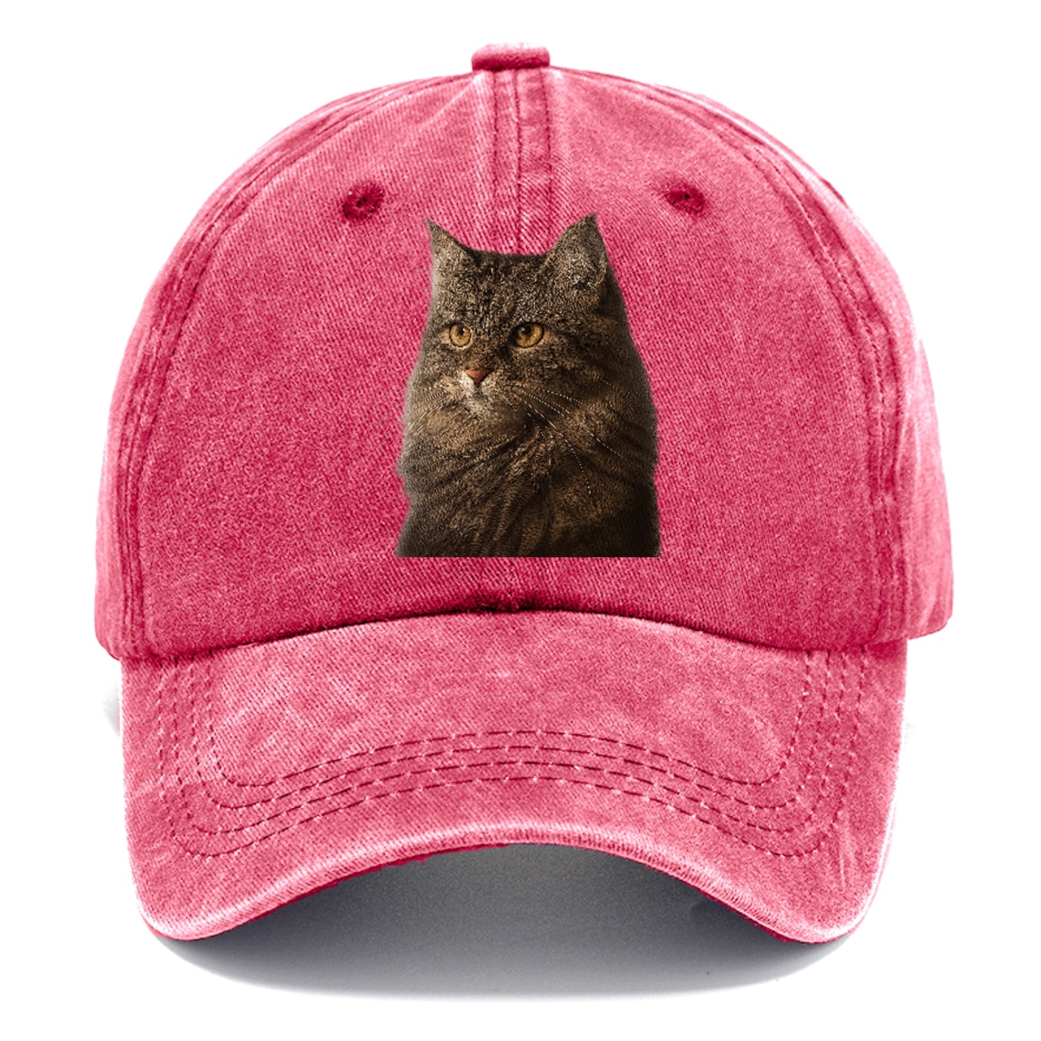 domestic-longhair-graceful-charm Hat