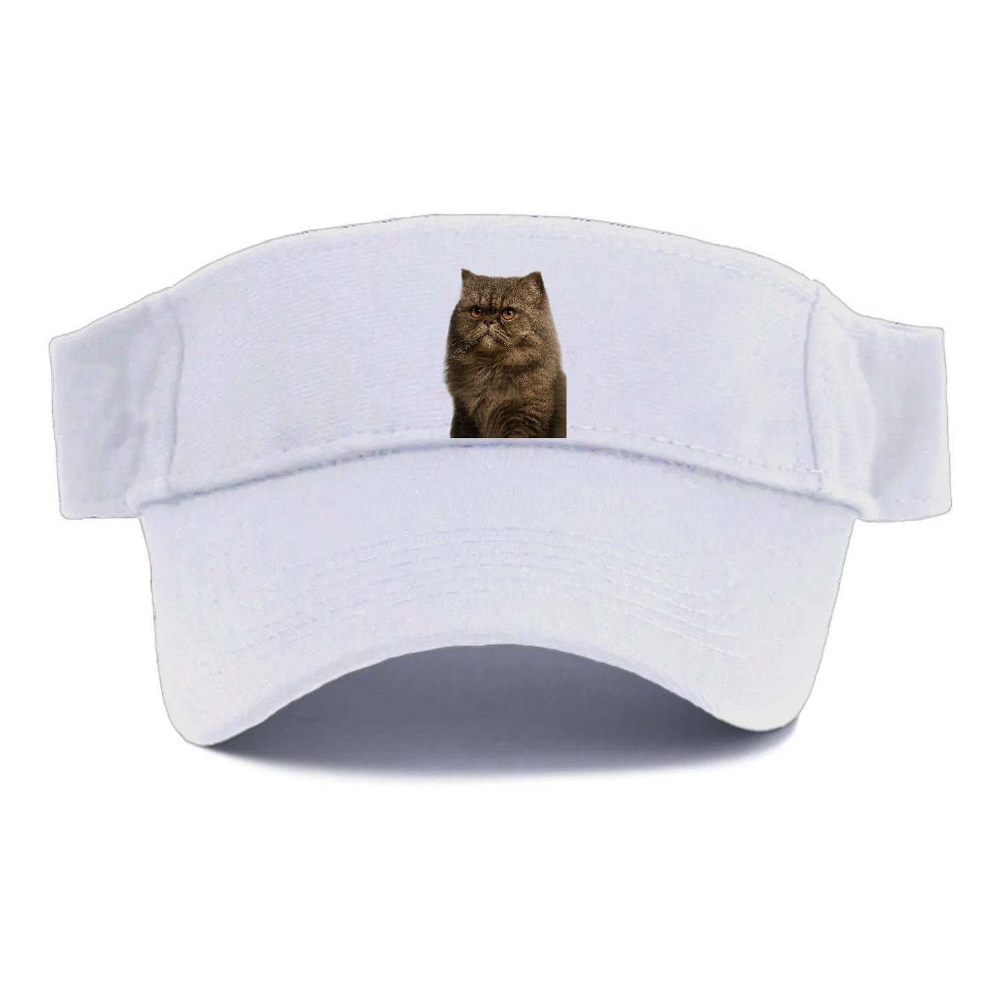 persian-cat-regal-elegance Hat