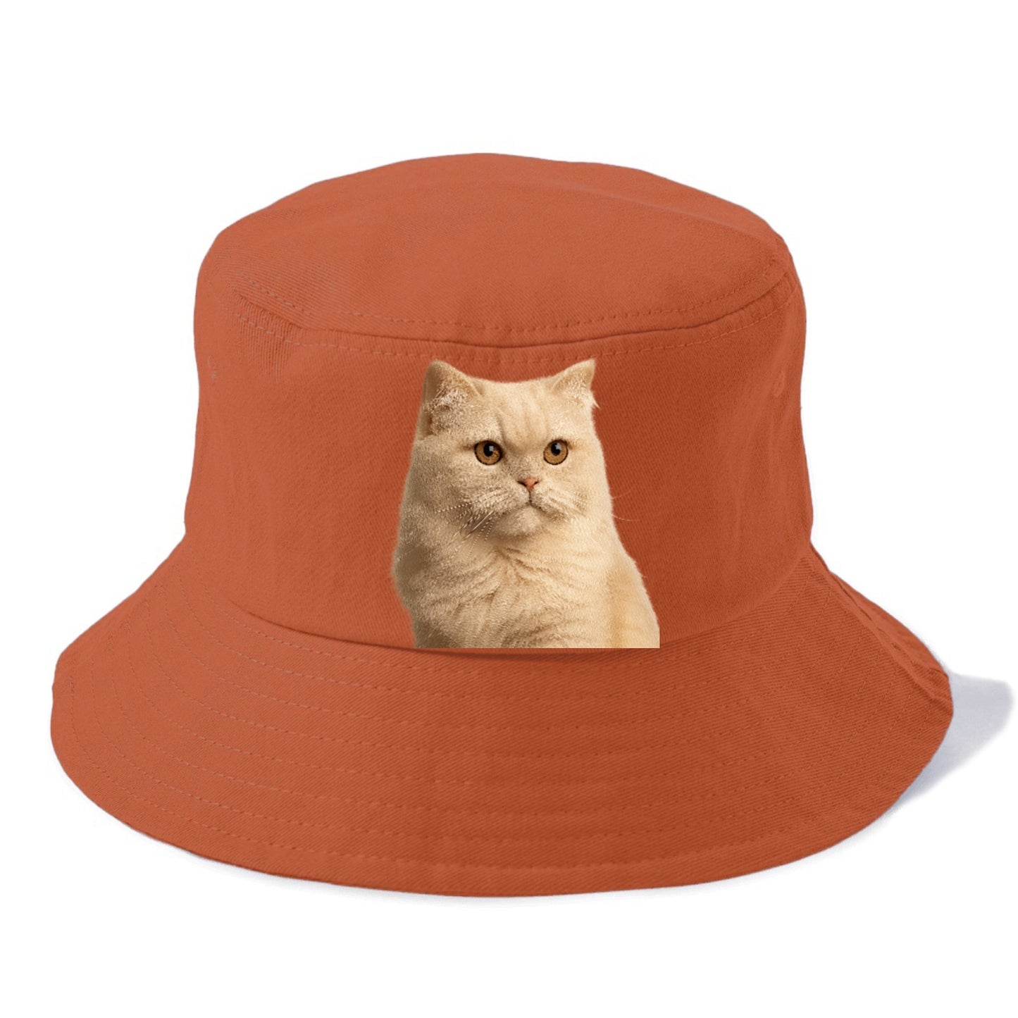 cream-persian-fluffy-elegance Hat