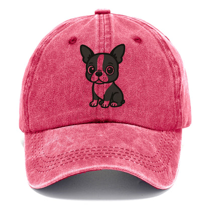 boston terrier black and white sitting pose with tuxedo markings portrait design Hat