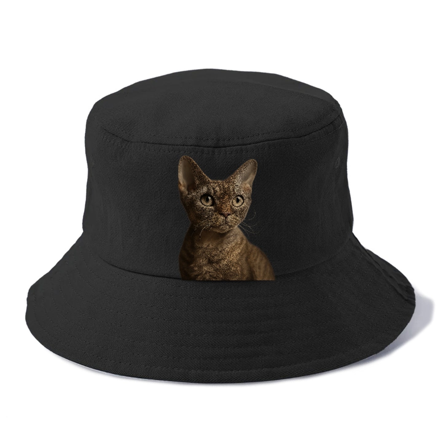devon-rex-playful-spirit Hat