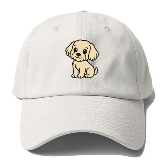 havanese cream colored sitting pose portrait design Hat