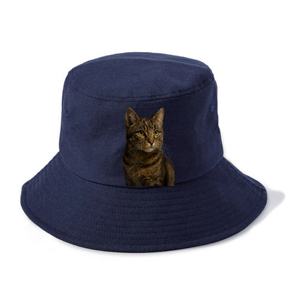 barn-cat-rustic-charm Hat