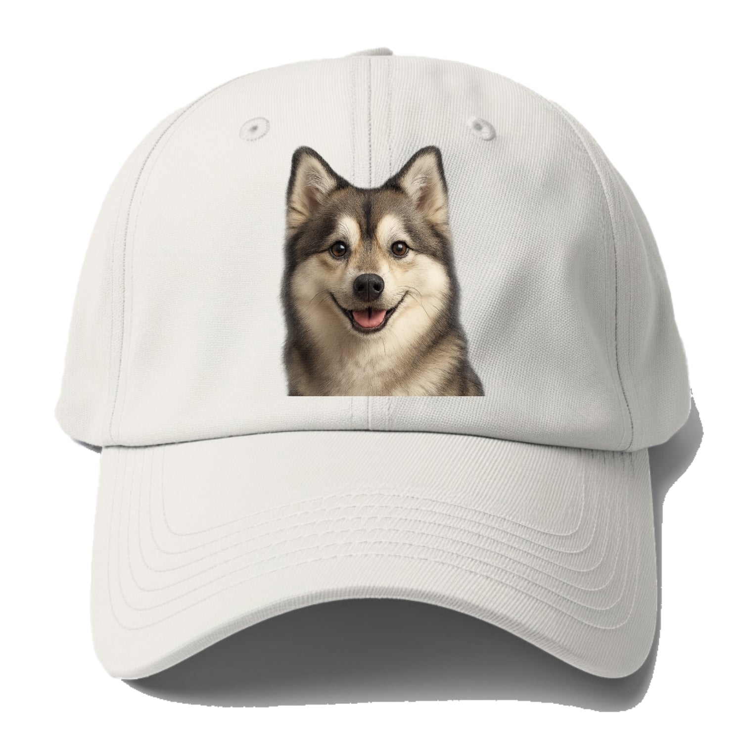 pomsky portrait design Hat