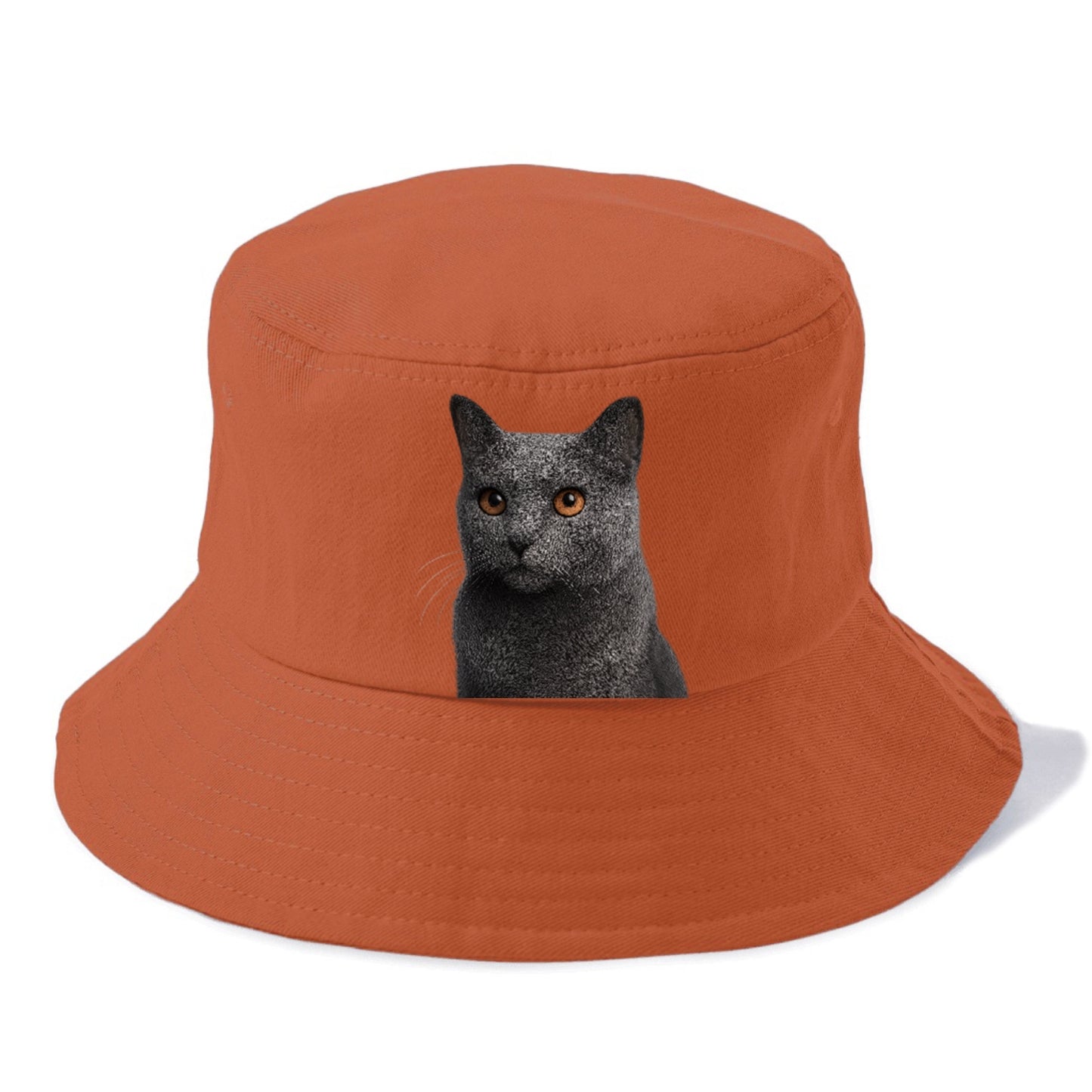 chartreux-regal-charm Hat